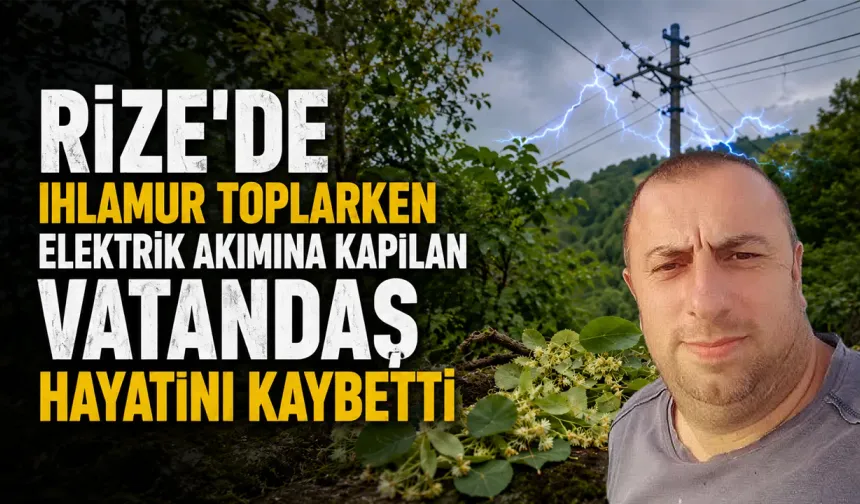 Ihlamur toplarken elektriğe kapılan vatandaş hayatını kaybetti