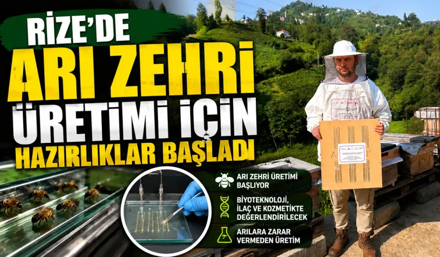 Rize’de arı zehri üretilecek, sistem hazırlanıyor