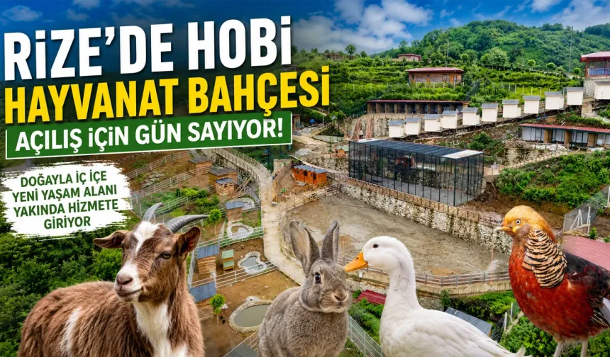 Rize'de Hobi Hayvanat Bahçesi Açılış İçin Gün Sayıyor