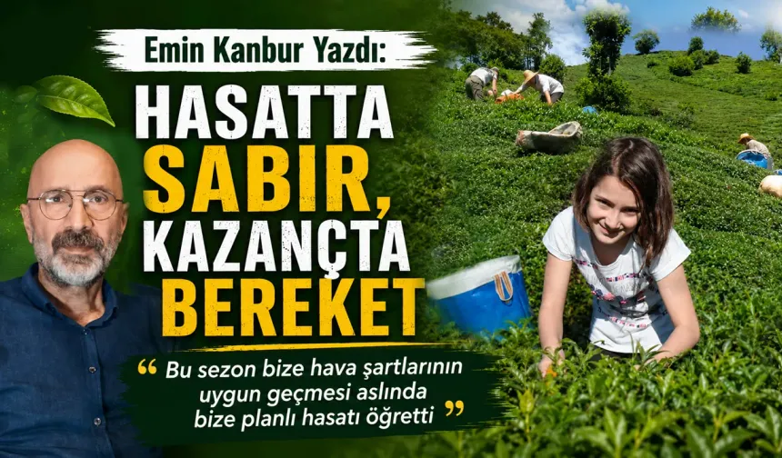 Hasatta Sabır, Kazançta Bereket