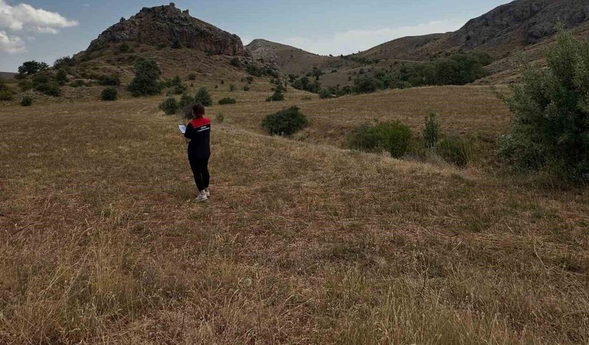 Aydıntepe'de ürün tespit ve ÇKS kontrolleri sürüyor