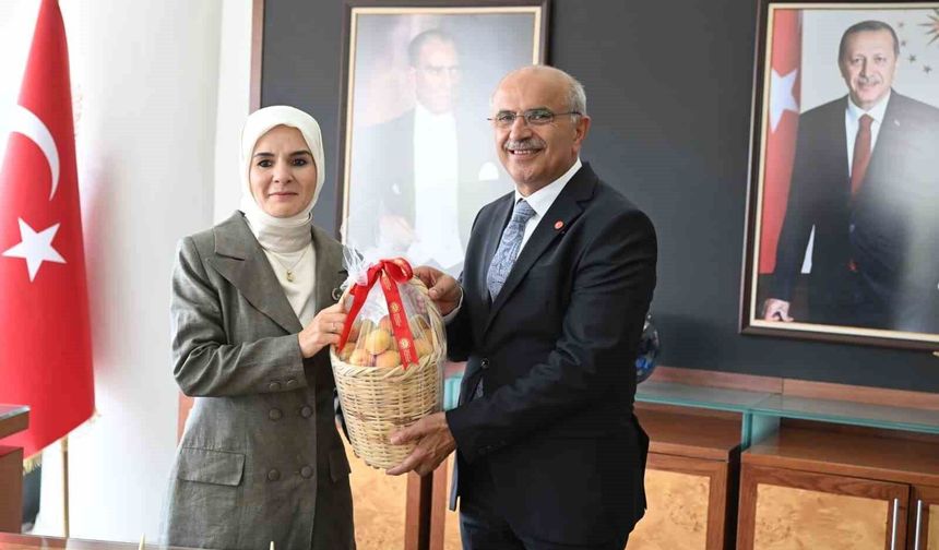 Bakan Göktaş: 'Çok iyi bir kütüphane olmuş'