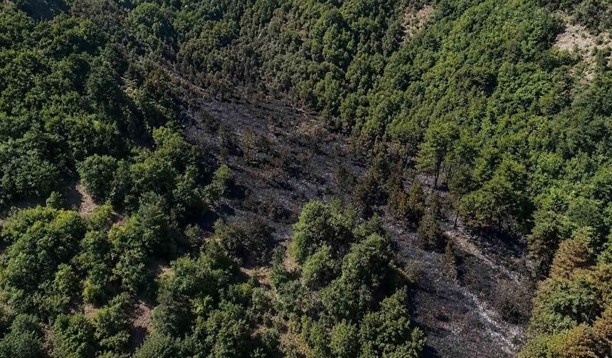 Sinop'taki orman yangını kontrol altına alındı