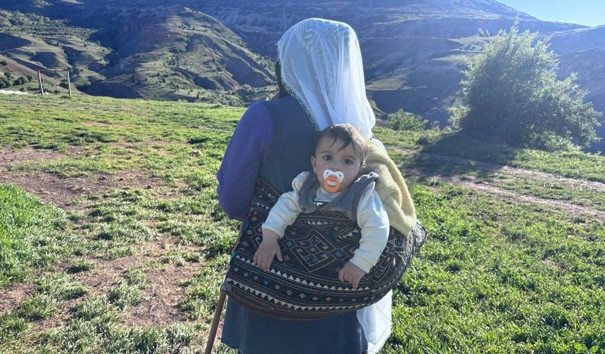 Yaylalarda başlayan emek, Erzincan tulum peyniri olarak sofralara ulaşıyor