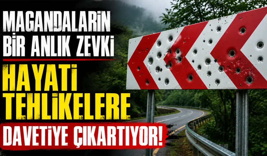 Karadeniz yaylalarında trafik levhaları kevgire döndü