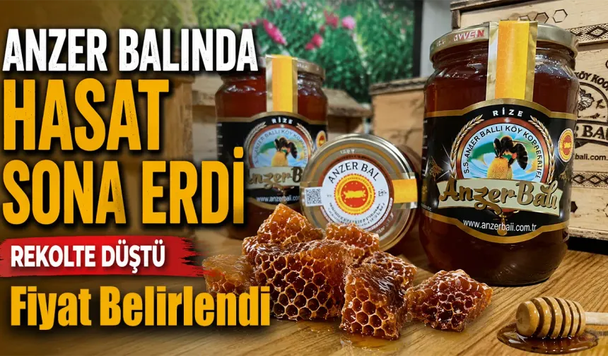 Dünyaca ünlü Anzer balında hasat tamamlandı: Kilogramı 7 bin TL olarak belirlendi