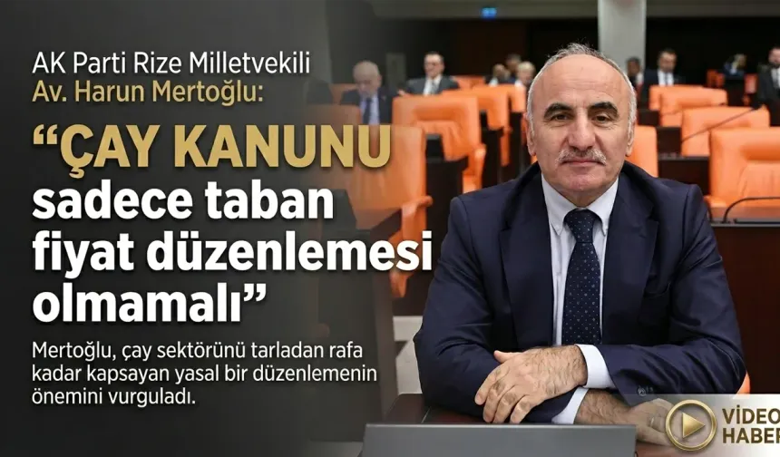 Mertoğlu “Çay Kanunu sadece taban fiyat düzenlemesi olmamalı”