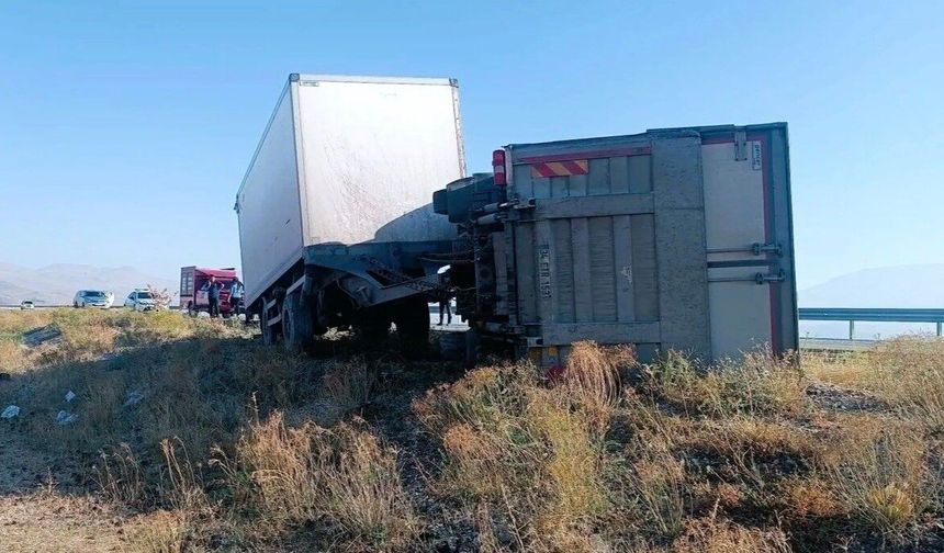 Iğdır'da eşeğe çarpmamak için manevra yapan kamyon kaza yaptı