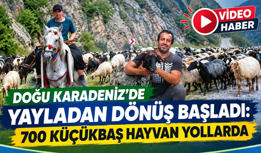 Doğu Karadeniz'den yaylalardan dönüş başladı