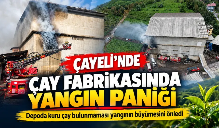 Rize Çayeli’nde Çay Fabrikasının Ambalaj Deposunda Yangın