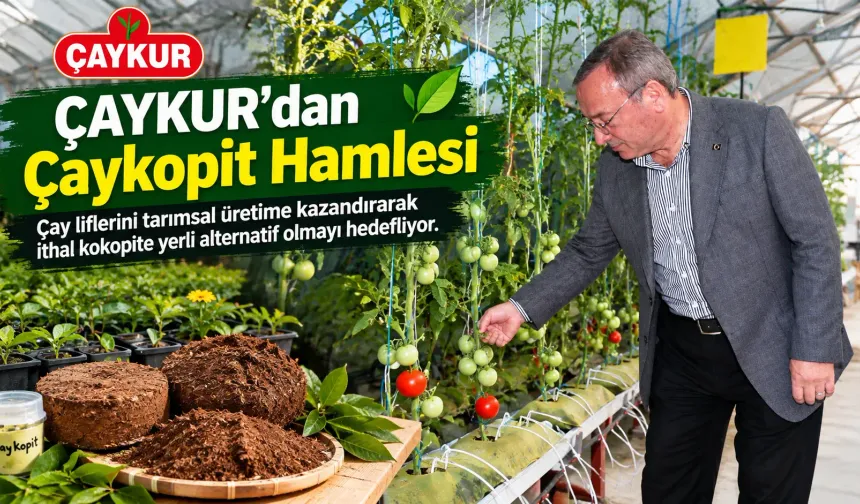 ÇAYKUR’un Çaykopit Projesi İthalata Alternatif Olacak