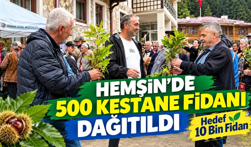 Hemşin’de 500 Kestane Fidanı Dağıtıldı: Hedef 10 Bin Fidan