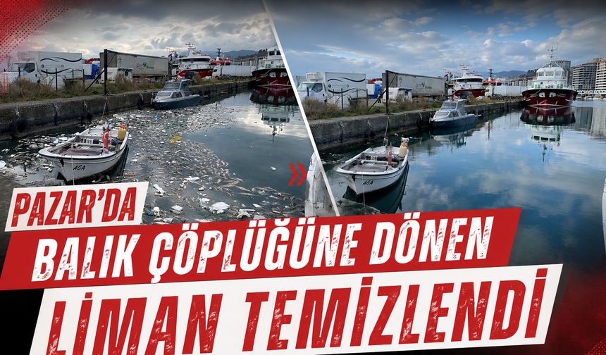 Pazar'da balık çöplüğüne dönen liman temizlendi