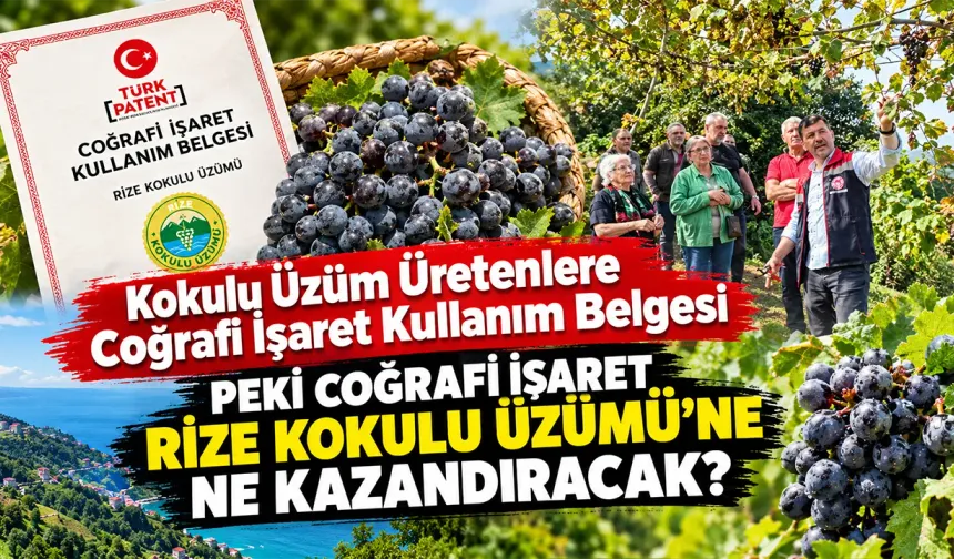 Kokulu Üzüm Üretenlere Coğrafi İşaret Kullanım Belgesi