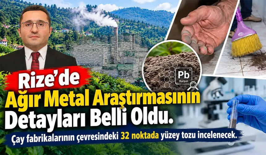 Çay Fabrikaları İçin Rize’deki Kritik Projenin Detayları Açıklandı