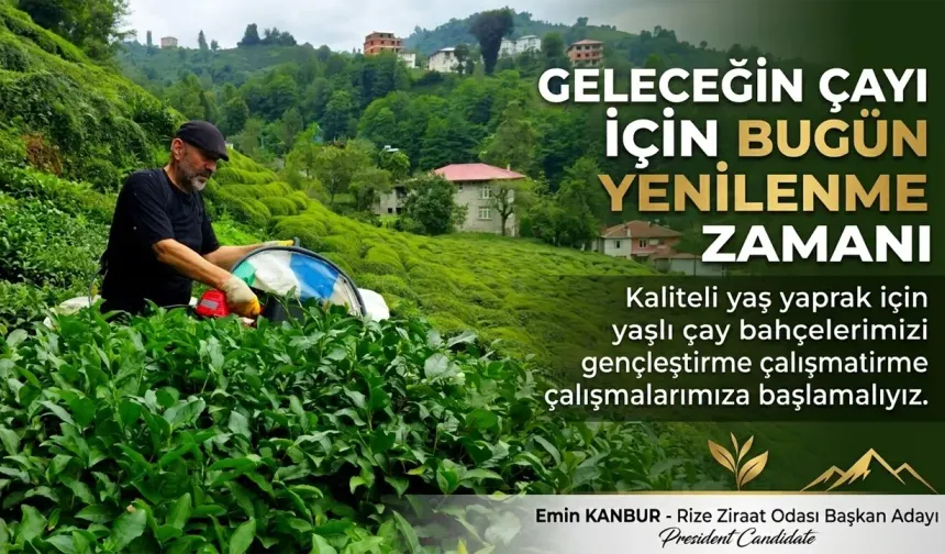 Yeni Yüzyıla Yenilenmiş Çay Bahçeleriyle Girmeliyiz!