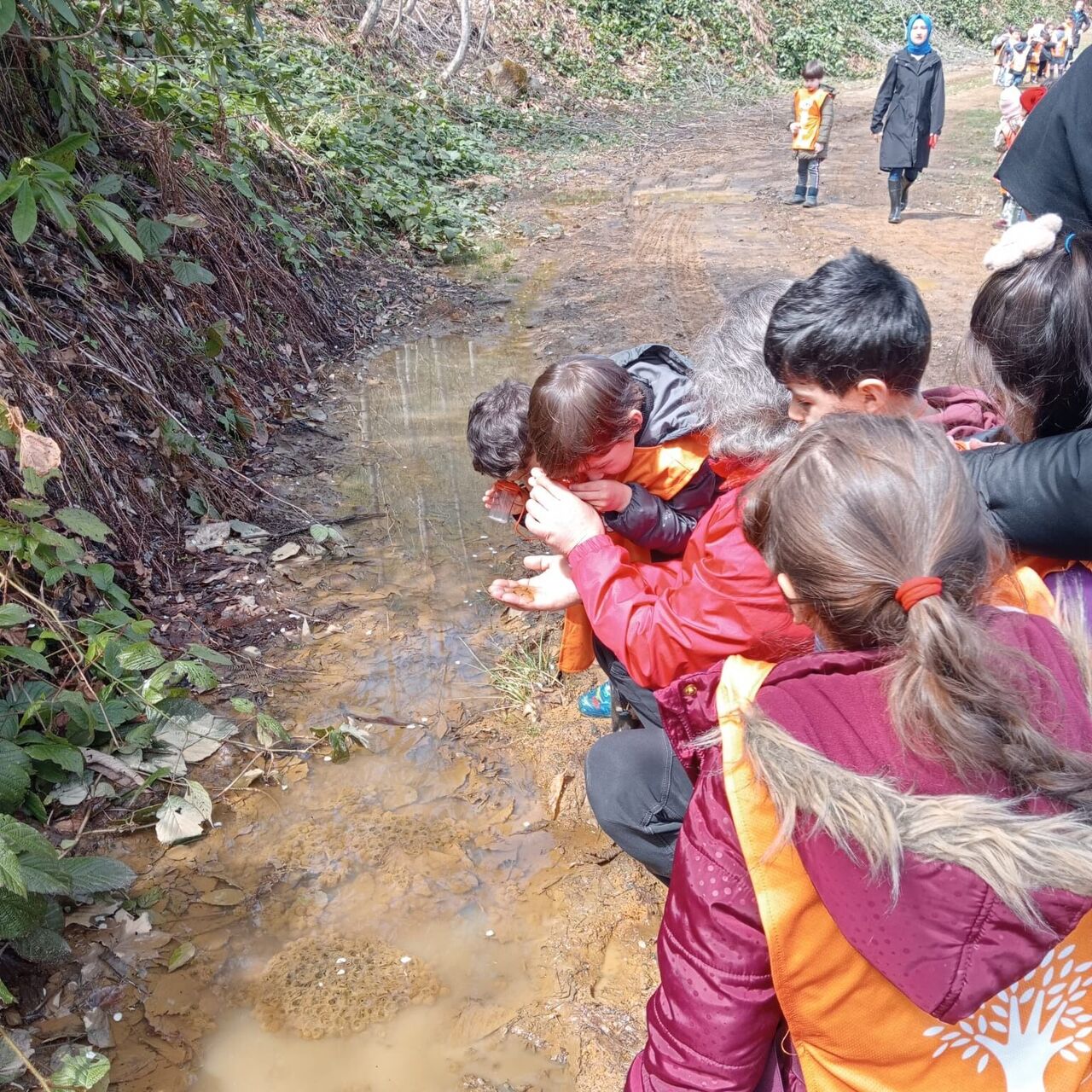 WhatsApp Image 2023-04-15 at 19.32.23