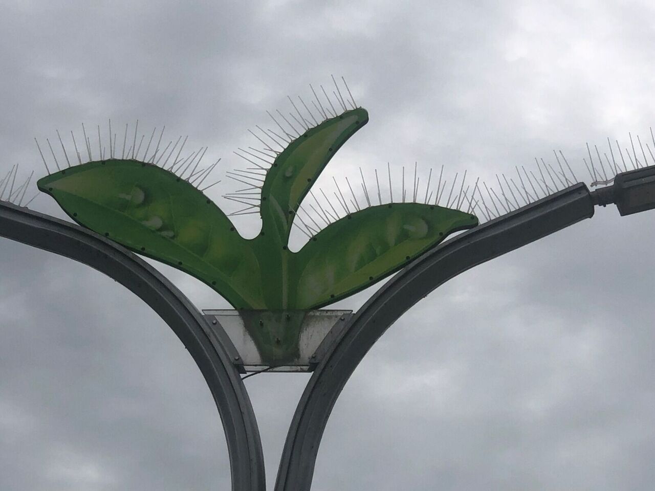 WhatsApp Image 2023-06-29 at 10.53.25 (1)