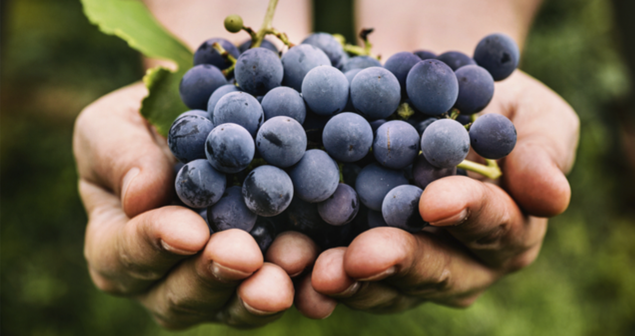 Ekran Resmi 2023-09-14 21.34.55