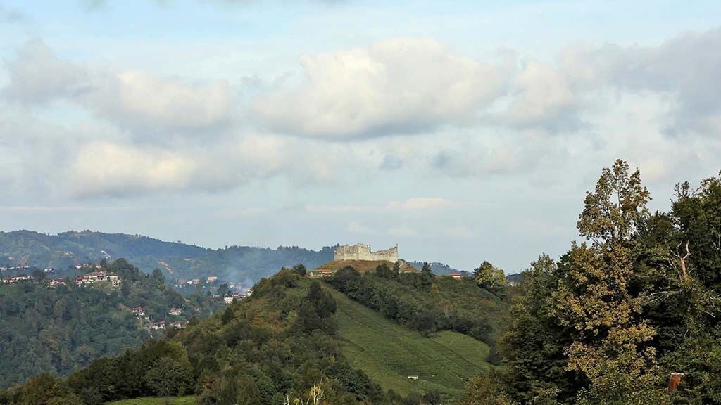 887E4Bf0 31Ee 49Dc 9849 A2E2E6Bdcce5