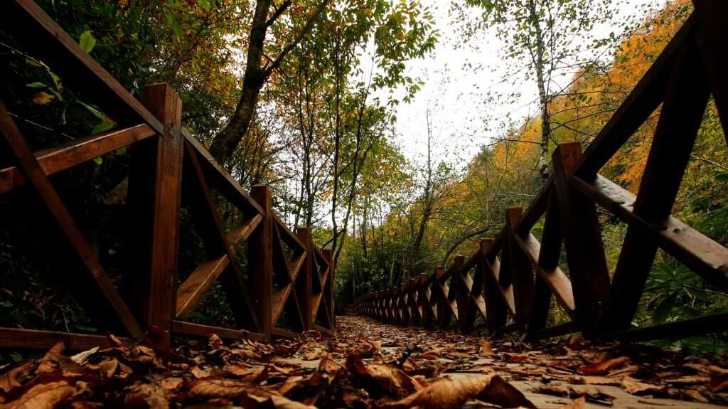 Emin Kanbur Hemşin 001