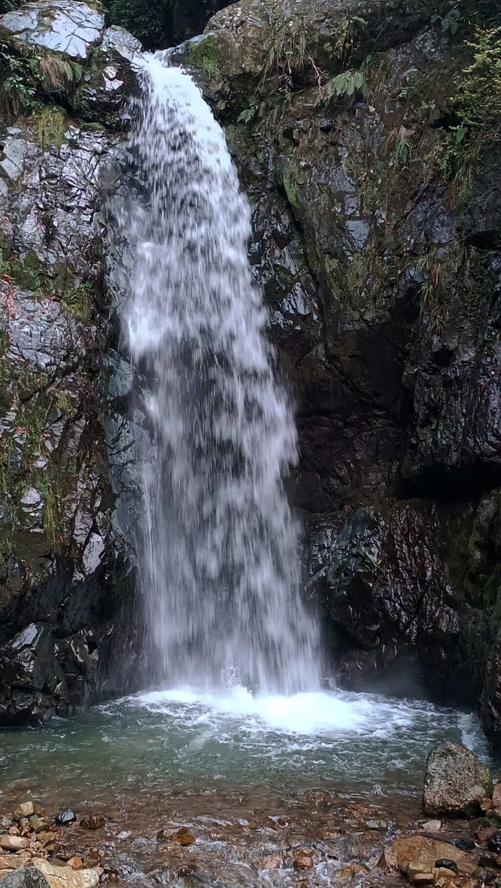 Emin Kanbur Hemşin 002