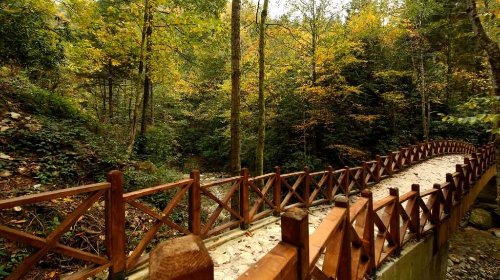 Emin Kanbur Hemşin 008