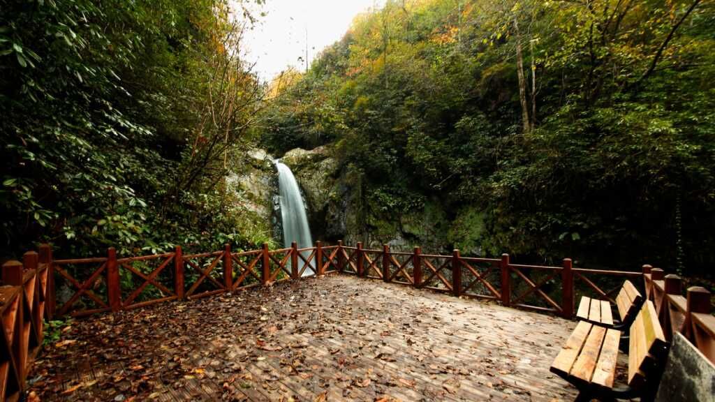 Emin Kanbur Hemşin 009