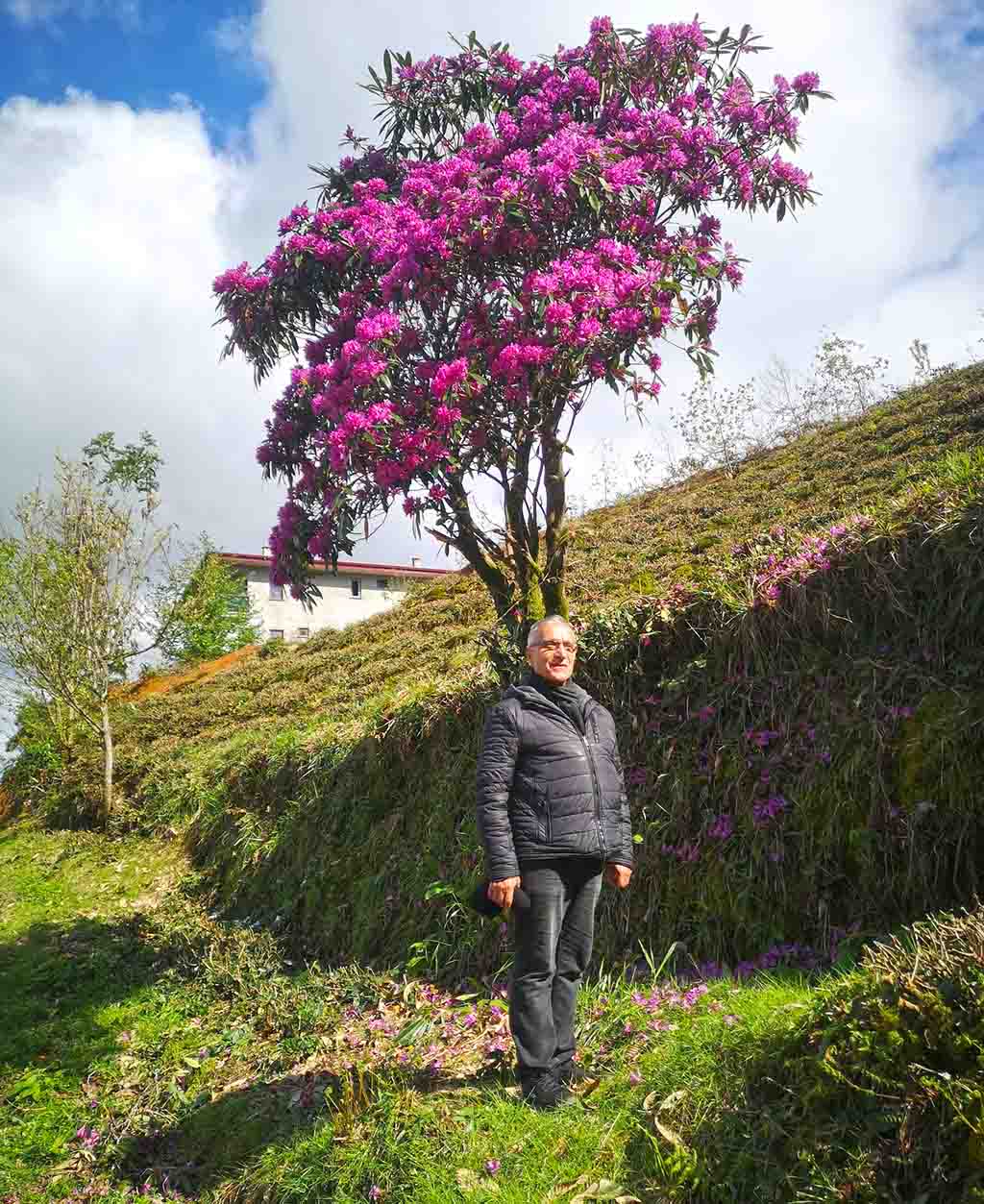 491643318 9877655935613051 4630782774526648674 N