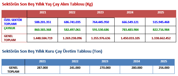5 Yıllık Yaş Çay Rekoltesi