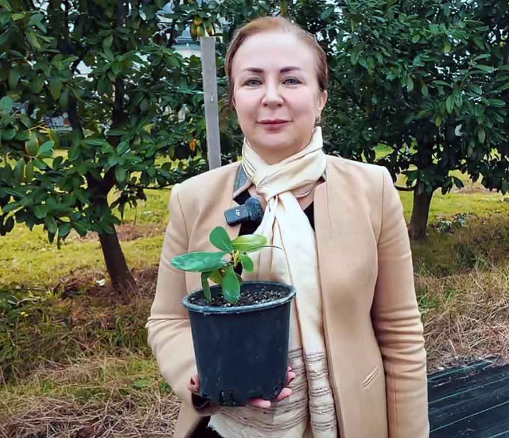 A Q P Y Ft T D Xqh3 6 Vx5 X Rk Cqh O Y C8 F G Nzq U G3K W R T 5 Wgx6 Oqr4 T Iqw E Rv 8 Hd Ju1 Ckz Lj Y Ja Q9 U U X O Qd A T074 O7 Ssu Cq E U6 K Y6X M9P5 Zn3W.mp4 Snapshot 00.08.530