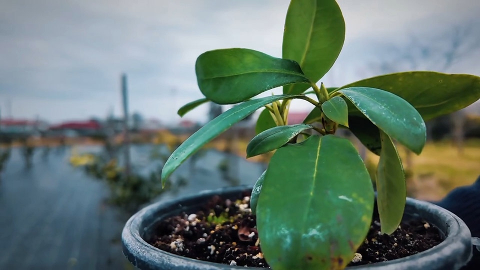 A Q P Y Ft T D Xqh3 6 Vx5 X Rk Cqh O Y C8 F G Nzq U G3K W R T 5 Wgx6 Oqr4 T Iqw E Rv 8 Hd Ju1 Ckz Lj Y Ja Q9 U U X O Qd A T074 O7 Ssu Cq E U6 K Y6X M9P5 Zn3W.mp4 Snapshot 00.51.008