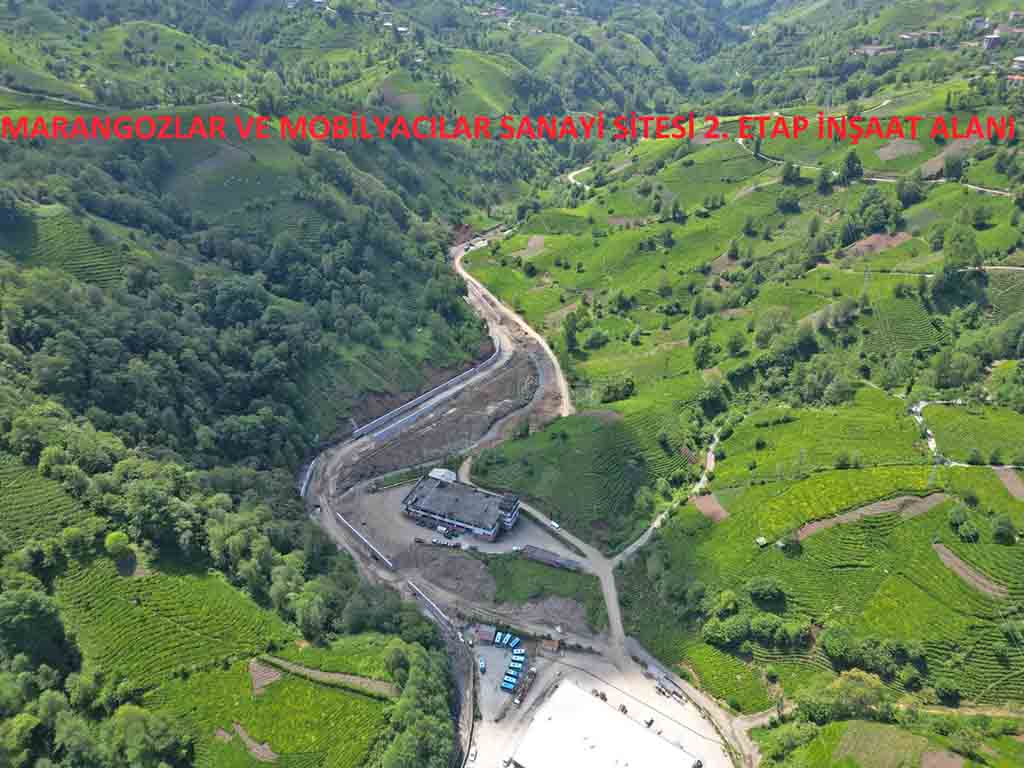 E15A3C34 0943 4034 Ab8E Bcf133706B0F