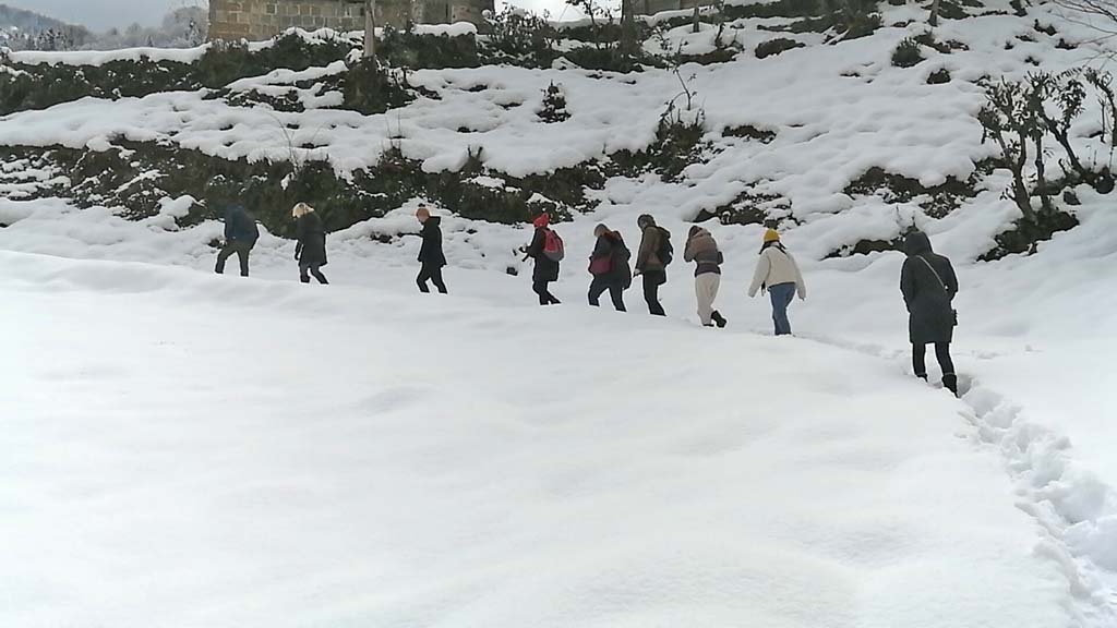 Whatsapp Image 2026 01 23 At 11.21.25 (1)