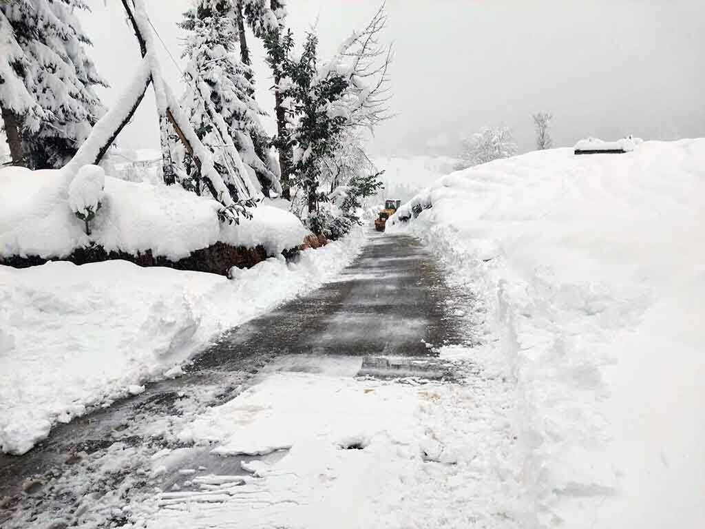 D0B5E51E 68Ed 4B90 845C 6Ccc0D90Ad75