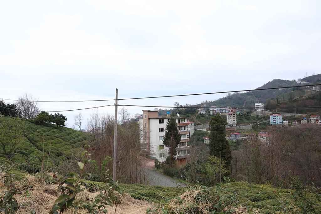 655699414 1351629816996029 5725382170274119739 N