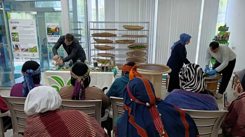 Kaliteli Çayı Anlamanın 5 Temel Sırrı 002