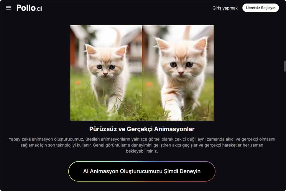 Sosyal Medya İçin Kedi Videosu 2