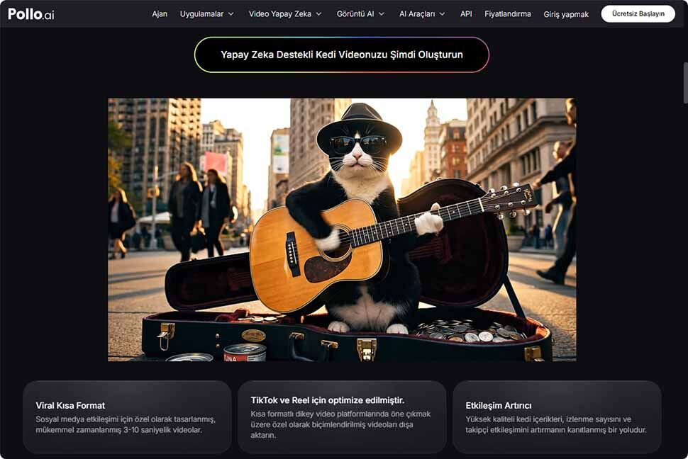Sosyal Medya İçin Kedi Videosu 3