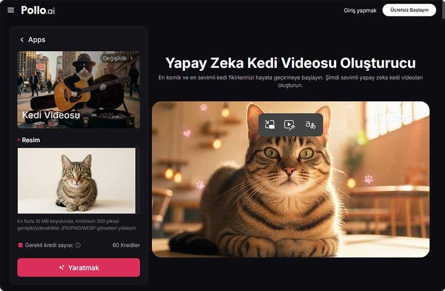 Sosyal Medya İçin Kedi Videosu