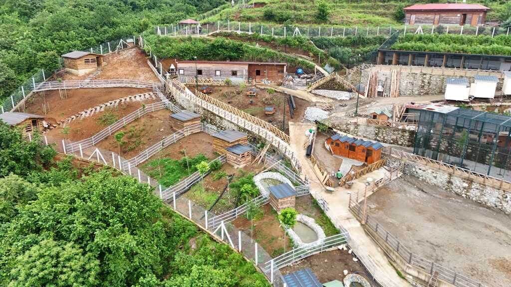 Rize Hobi Hayvanat Bahçesi 009