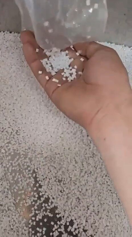 Whatsapp Video 2026 08 27 At 16.30.55.Mp4 Snapshot 00.12.881