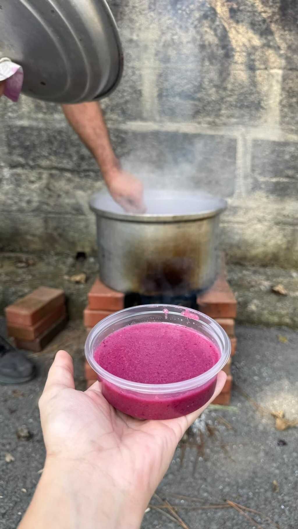 Kokulu Üzüm Hasadıi 005
