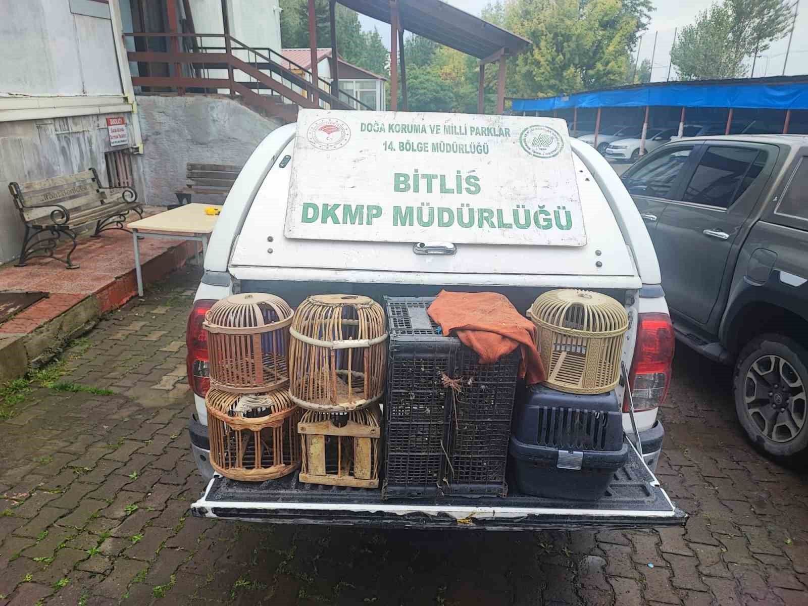 Bitlis'te kaçak avlanmış canlı keklikler doğaya salındı