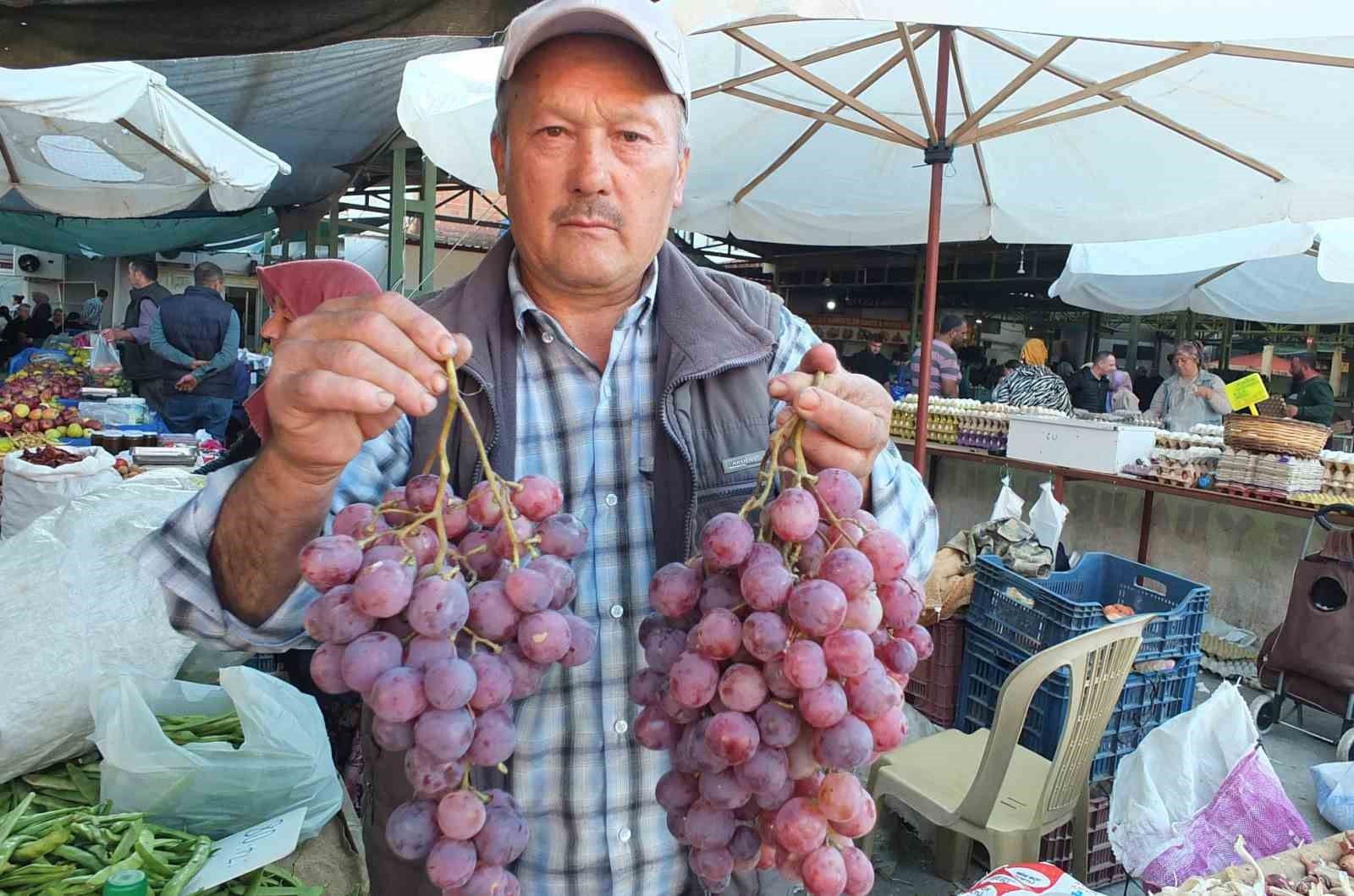 Burhaniye'de organik üzümler ilgi gördü
