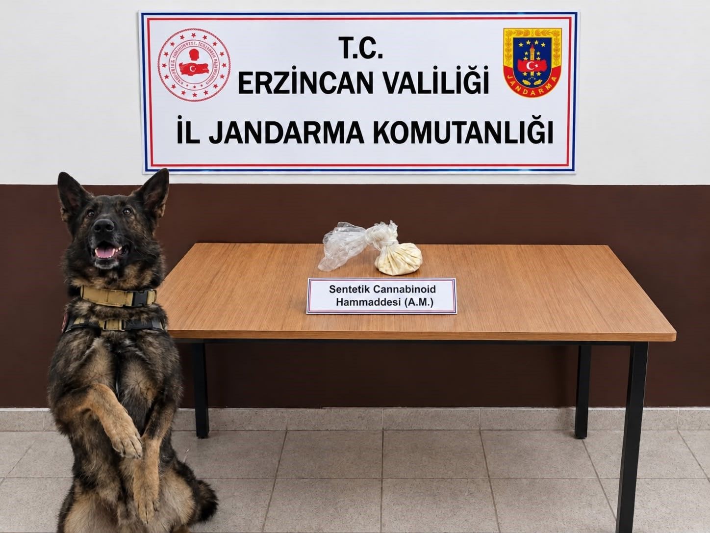 Erzincan'da bonzai hammaddesi ve skunk ele geçirildi