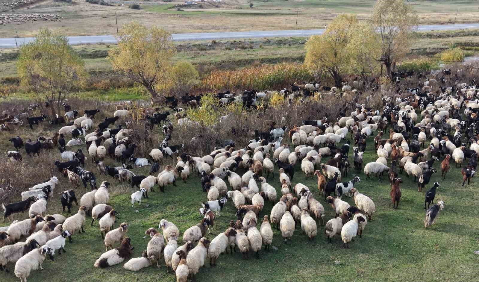 Göçerlerin Van'dan Siirt'e zorlu dönüş yolculuğu başladı
