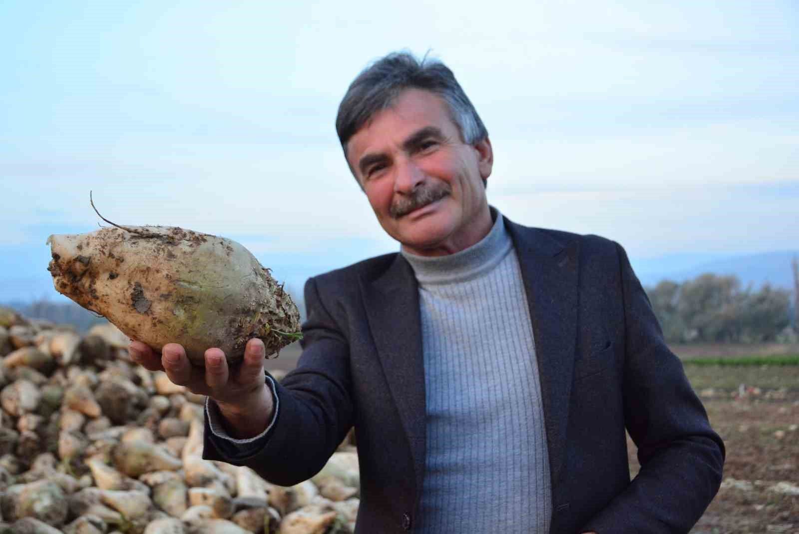 Şeker pancarı üreticisinin sözleri sosyal medyada gündem oldu: ''Ben kazanmıyorum' diyen çiftçiler külliyen yalan söylüyor'