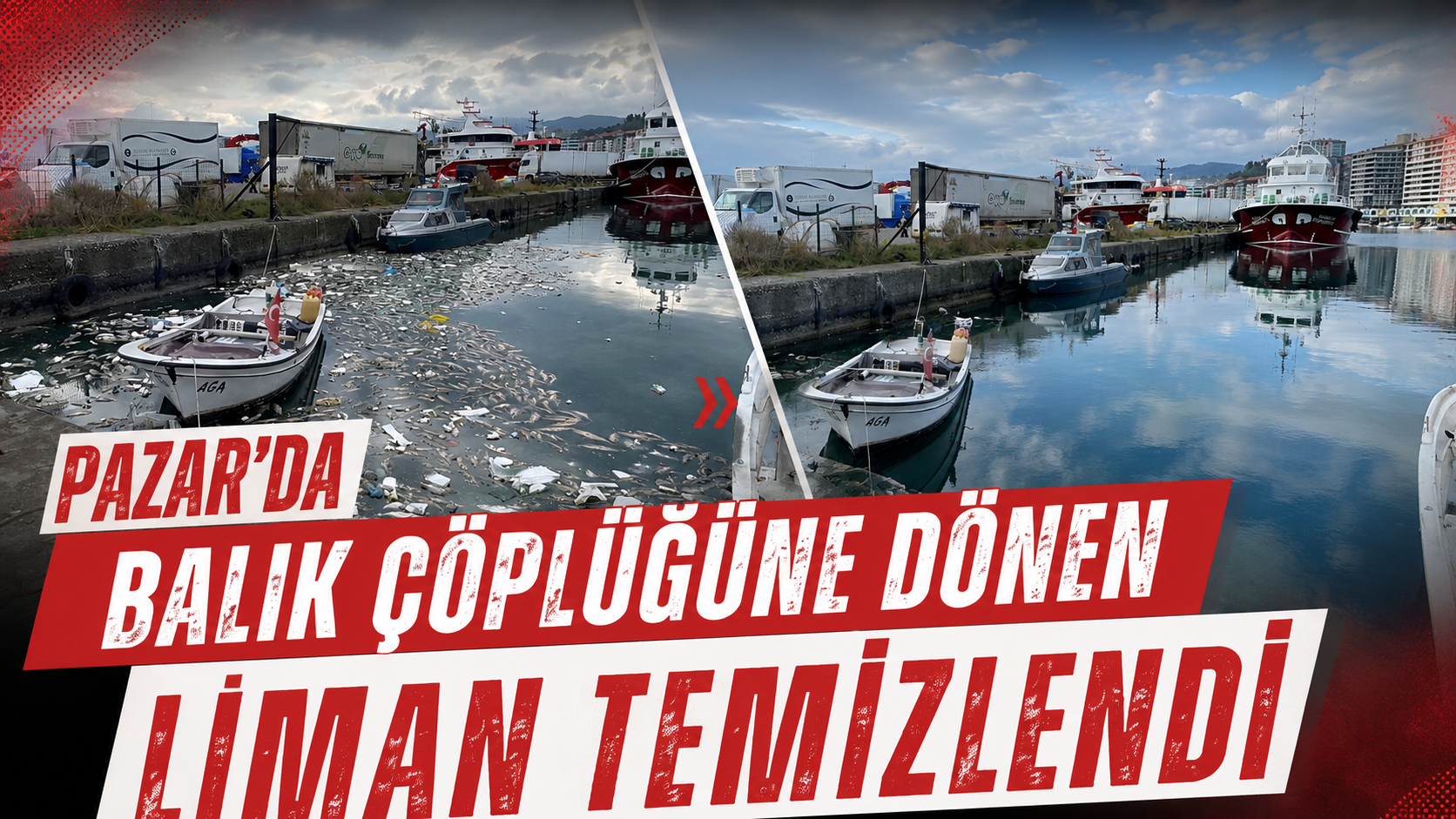 Pazar'da balık çöplüğüne dönen liman temizlendi